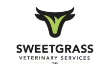 SweetGrass